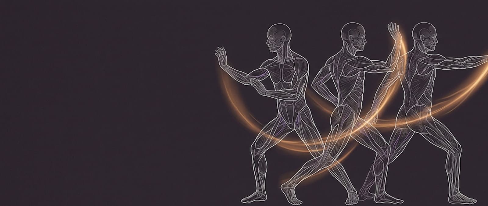 Planșă anatomică: același corp desenat în trei poziții suprapuse dintr-o mișcare lentă